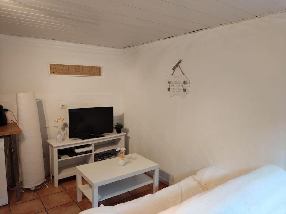 Appartement En Rez De Jardin Et Terrasse Ds Villa Hyeres Luaran gambar